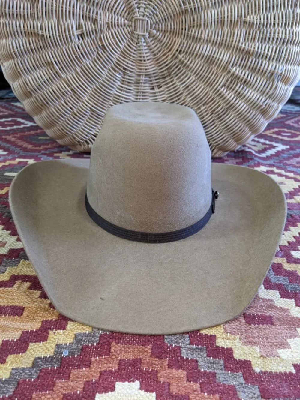 RESISTOL Men's Hooey Day Money Cowboy Hat 7 5/8